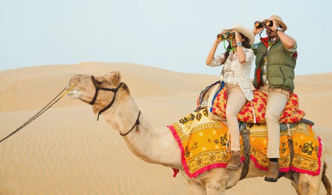 Camel Safari1